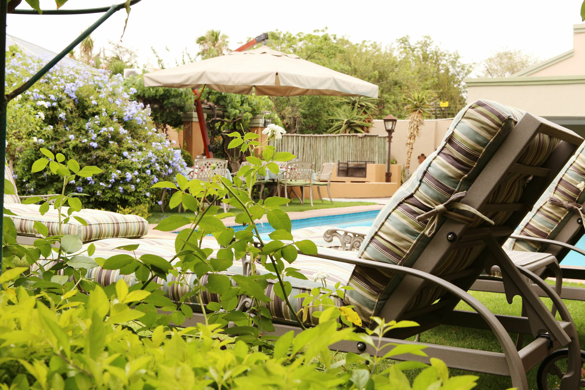 Oleander Guest House Kimberley Dış mekan fotoğraf